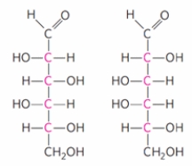 <strong>The two monosaccharides shown below could BEST be described as: </strong> A) ketoses. B) anomers. C) rotamers. D) epimers. E) enantiomers.