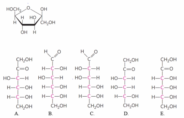 Based on the form of the cyclic sugar shown below in a Haworth projection, which Fischer projection formula could have formed this structure?