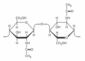 <strong>What is the CORRECT name for the linkage between these monosaccharide derivatives? </strong> A) ( \alpha 1 \rightarrow 4) B) ( \beta 1 \rightarrow 4) C) (1 4) D) ( \alpha 1 \rightarrow \beta 4) E) ( \alpha 1 \rightarrow \alpha 4)
