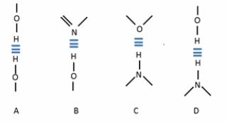<strong>Which diagram CORRECTLY represent a hydrogen bond?  </strong> A) A and D B) A and C C) B and C D) C and D E) B and D <div style=padding-top: 35px> 