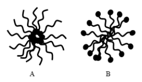 <strong>Which diagram CORRECTLY illustrates the clustering of lipids in the formation of a micelle?  </strong> A) A B) B C) both A and B D) neither A nor B <div style=padding-top: 35px> 