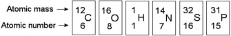 Use the following figure to answer the questions below. -In the figure above, how many unpaired electrons does phosphorus have in its valence shell?