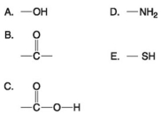 Use the following figure to answer the questions below. -Which of the groups shown above is a carbonyl functional group?