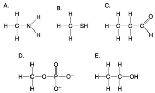 Use the following figure to answer the questions below. -Which molecule shown above is a thiol?