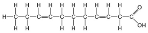 Use the following figure to answer the questions below. -The molecule shown in the figure above is a(n)
