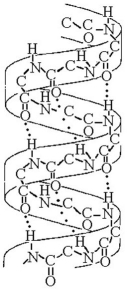   -The structure depicted in the above figure shows the