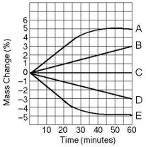 Use the following information to answer the questions below. Five dialysis bags, constructed from a semipermeable membrane that is impermeable to sucrose, were filled with various concentrations of sucrose and then placed in separate beakers containing an initial concentration of 0.6 M sucrose solution. At 10-minute intervals, the bags were massed (weighed) and the percent change in mass of each bag was graphed. -Which line in the graph represents the bag with the highest initial concentration of sucrose?