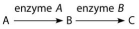 <strong>The following questions refer to this figure of a simple metabolic pathway: If A, B, and C are all required for growth, a strain mutant for the gene-encoding enzyme B would be capable of growing on which of the following media?</strong> A)minimal medium B)minimal medium supplemented with A only C)minimal medium supplemented with B only D)minimal medium supplemented with C only E)minimal medium supplemented with nutrients A and B