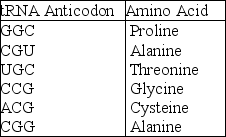 <strong>The following information should be used for the next few questions. A part of an mRNA molecule with the following sequence is being read by a ribosome: 5' CCG-ACG 3' (mRNA). The following charged transfer RNA molecules (with their anticodons shown in the 3' to 5' direction) are available. Two of them can correctly match the mRNA so that a dipeptide can form. The dipeptide that will form will be</strong> A)cysteine-alanine. B)proline-threonine. C)glycine-cysteine. D)alanine-alanine. E)threonine-glycine.
