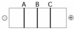 <strong> The segment of DNA shown in the figure above has restriction sites I and II, which create restriction fragments A, B, and C. Which of the gels produced by electrophoresis shown below best represents the separation and identity of these fragments?</strong> A) B) C) D) E)