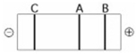 <strong> The segment of DNA shown in the figure above has restriction sites I and II, which create restriction fragments A, B, and C. Which of the gels produced by electrophoresis shown below best represents the separation and identity of these fragments?</strong> A) B) C) D) E)