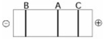 <strong> The segment of DNA shown in the figure above has restriction sites I and II, which create restriction fragments A, B, and C. Which of the gels produced by electrophoresis shown below best represents the separation and identity of these fragments?</strong> A) B) C) D) E)