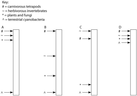 The following questions refer to the paragraph below. A sediment core is removed from the floor of an inland sea. The sea has been in existence, off and on, throughout the entire time that terrestrial life has existed. Researchers wish to locate and study the terrestrial organisms fossilized in this core. The core is illustrated as a vertical column, with the top of the column representing the most recent strata and the bottom representing the time when land was first colonized by life. -Assuming the existence of fossilized markers for each of the following chemicals, what is the sequence in which they should be found in this sediment core, working from ancient sediments to recent sediments? 1. chitin coupled with protein 2. chlorophyll 3. bone 4. cellulose