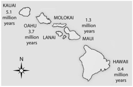 Use the following figure to answer the questions below. -Hawaii is the most southeastern of the seven islands and is also closest to the sea-floor spreading centre from which the Pacific plate originates, which lies about 5600 km further to the southeast. Assuming equal sedimentation rates, what should be the location of the thickest sediment layer and, thus, the area with the greatest diversity of fossils above the oceanic crust?