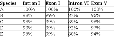 The next questions refer to the following table, which compares the percent sequence homology of four different parts (two introns and two exons) of a gene that is found in five different eukaryotic species. Each part is numbered to indicate its distance from the promoter (e.g., Intron I is the one closest to the promoter). The data reported for species A were obtained by comparing DNA from one member of species A to another member of species A. % Sequence Homology -Which of the following is the best explanation for the high degree of sequence homology observed in Exon I among these five species?