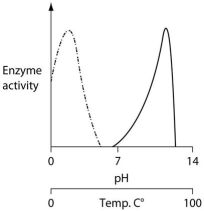 <strong>Consider the thermoacidophile, Sulfolobus acidocaldarius. Which of the following graphs most accurately depicts the expected temperature and pH profiles of its enzymes? (Note: The horizontal axes of these graphs are double, with pH above and temperature below.) </strong> A) B) C) D)