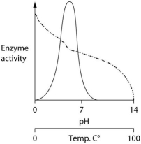 <strong>Consider the thermoacidophile, Sulfolobus acidocaldarius. Which of the following graphs most accurately depicts the expected temperature and pH profiles of its enzymes? (Note: The horizontal axes of these graphs are double, with pH above and temperature below.) </strong> A) B) C) D)