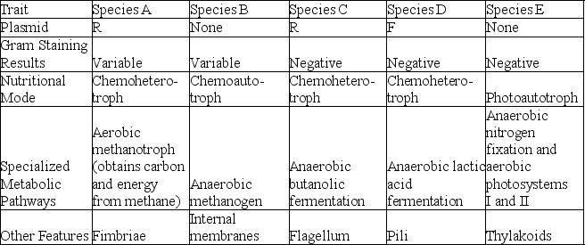 The following table depicts characteristics of five prokaryotic species (A-E). Use the information in the table to answer the following questions. -Which two species should have much more phospholipid, in the form of bilayers, in their cytoplasms than most other bacteria?