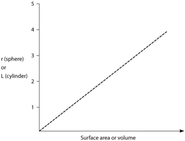 <strong> Surface area represents the area available for exchange with the environment, whereas volume represents the cytoplasm which requires nutrients and from which waste products (usually toxic)must be removed. Which of the following should provide the most favourable conditions for effective exchange?</strong> A)a smaller unicellular yeast B)a larger unicellular yeast C)a shorter filamentous hypha D)a longer filamentous hypha