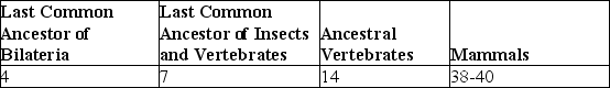 <strong>Use the following table to answer the questions below. Proposed Number of Hox Genes in Various Extant and Extinct Animals What conclusion is apparent from the data in the table?</strong> A)Land animals have more Hox genes than do those that live in water. B)All bilaterian phyla have had the same degree of expansion in their numbers of Hox genes. C)Acoel flatworms should be expected to contain seven Hox genes. D)The expansion in number of Hox genes throughout vertebrate evolution cannot be explained merely by three duplications of the ancestral vertebrate Hox cluster. E)Extant insects all have seven Hox genes.