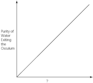 -Which of the following factors, when used to label the horizontal axis of the above graph, would account most directly for the shape of the plot?