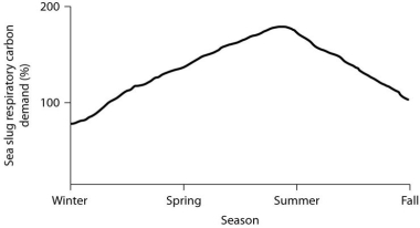 <strong>Use the following graph to answer the questions below. Percent of sea slug respiratory carbon demand provided by indwelling dinoflagellates. Aside from the density of dinoflagellates in P. ianthina skin, how many of the following factors can affect whether or not the endosymbiotic dinoflagellates promote the sea slug's survival (assuming latitudes above or below Earth's equator)? 1. day length 2. height of sun above the horizon 3. cloud cover 4. depth at which P. ianthina lives 5. water clarity</strong> A)two of these B)three of these C)four of these D)five of these