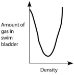 <strong>Which graph properly depicts the relationship between the amount of gas in the swim bladder and the density of the fish?</strong> A) B) C) D) E)
