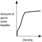 <strong>Which graph properly depicts the relationship between the amount of gas in the swim bladder and the density of the fish?</strong> A) B) C) D) E)