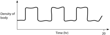 <strong>At 5, 10, and 15 hours in the graph below, which of the following statements should be true? </strong> A)This fish is in the process of adding gas to its swim bladder. B)This fish is in the process of removing gas from its swim bladder. C)This fish has a swim bladder that is relatively full of gas. D)This fish has a swim bladder that contains relatively little gas.