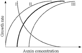   -What conclusion can you draw from the result in the question above.