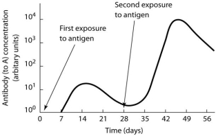Use the following graph to answer the questions below. -According to the graph, naive memory cells will be produced