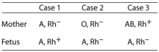 Use the following table to answer the questions below. -Study the table. Giving the mother anti-Rh antibodies before delivering her baby would be a wise precaution in
