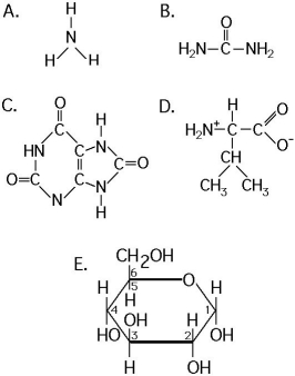 Use the following structural formulas to identify the following items. -Which of the following is excreted readily by aquatic animals because of its high solubility in the respiratory medium?