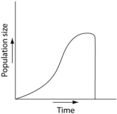 <strong>Use the survivorship curves shown below to answer the following questions.   Which of the following graphs illustrates the population growth curve of single bacterium growing in a flask of ideal medium at optimum temperature over a 24-hour period?</strong> A)   B)   C)   D)   E)   <div style=padding-top: 35px> 