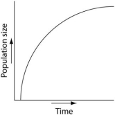 <strong>Use the survivorship curves shown below to answer the following questions.   Which of the following graphs illustrates the population growth curve of single bacterium growing in a flask of ideal medium at optimum temperature over a 24-hour period?</strong> A)   B)   C)   D)   E)   <div style=padding-top: 35px> 