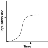 <strong>Use the survivorship curves shown below to answer the following questions.   Which of the following graphs illustrates the population growth curve of single bacterium growing in a flask of ideal medium at optimum temperature over a 24-hour period?</strong> A)   B)   C)   D)   E)   <div style=padding-top: 35px> 