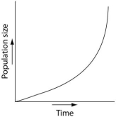 <strong>Use the survivorship curves shown below to answer the following questions.   Which of the following graphs illustrates the growth curve of a small population of rodents that has grown to reach a static carrying capacity?</strong> A)   B)   C)   D)   E)   <div style=padding-top: 35px> 