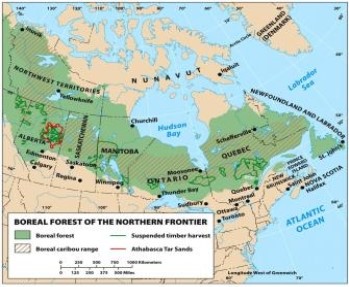 <strong>According to the figure below,Canada's Boreal forest lies predominantly in the region: </strong> A) Northern Frontier B) Western Frontier C) French Canada D) Continental Interior (North) E) Maritime Northeast