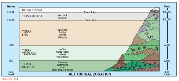 <strong>According to Figure 2-4,which of the following would you most likely find at an elevation of 13,000 feet?  </strong> A) coffee plantations B) potato fields C) dairy farms D) sheep or llamas E) sugarcane harvesting <div style=padding-top: 35px> 