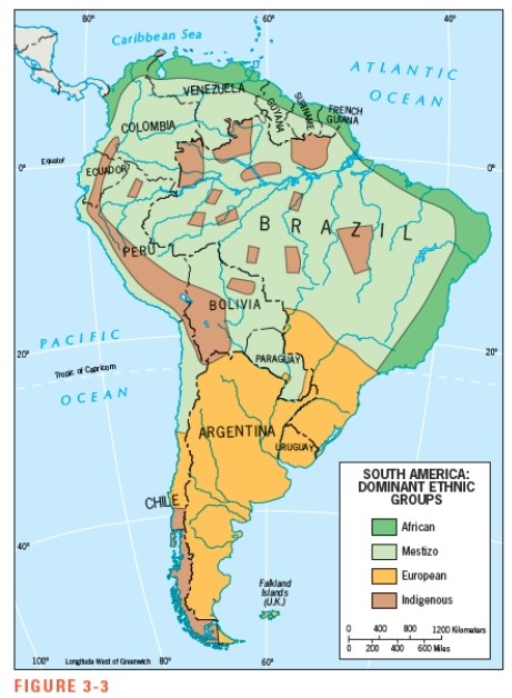 <strong>According to Figure 3-3,African-origin ethnic groups in South America live predominantly in the: </strong> A) South B) mountainous northwest C) interior Amazon region D) northern and northeastern coastal zone E) extreme southwestern coastal zone