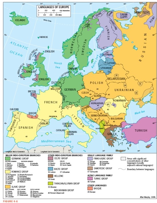 <strong>Figure 4-6 shows that the Polish language belongs to this language group:  </strong> A) Germanic Group B) Slavic Group C) Celtic Group D) Romance Group E) Baltic Group <div style=padding-top: 35px> 