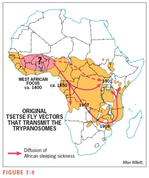 According to Figure 7-9,African sleeping sickness is a problem that limits cattle production in the country of South Africa.  <div style=padding-top: 35px> 