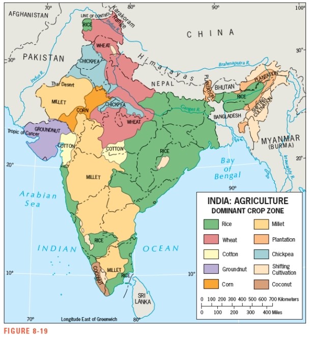 <strong>Figure 8-19 shows that the most dominant crop in the eastern part of the Ganges River Valley in India is _____________. </strong> A) wheat B) rice C) millet D) cotton E) corn