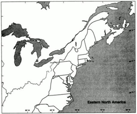 Map Exercise 2-1 On the following outline map: -Refer to Map Exercise 2-1. Mark the location of and label the following: Annapolis Jamestown St. Mary's Williamsburg Yorktown