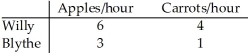 Consider two individuals,Willy and Blythe,who produce carrots and apples.Willy and Blythe's hourly productivity are as follows:   Who has the absolute advantage and who has the comparative advantage in the production of apples and carrots?<div style=padding-top: 35px> 