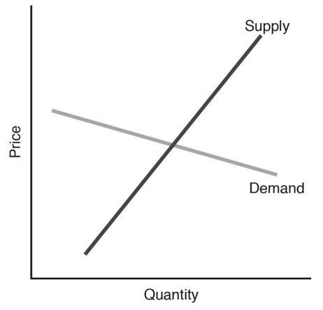 Figure 6.10 -Refer to Figure 6.10.If a tax is imposed on the market in Figure 6.10,________ will bear a larger share of the tax.