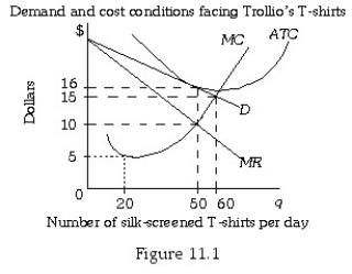 <strong> Refer to Figure 11.1.If Trollio's T-shirts is in long-run equilibrium it is producing ________ silk-screened T-shirts and selling each T-shirt at a price of ________.</strong> A) 20; $5 B) 50; $10 C) 50; $16 D) 60; $15