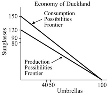 <strong> Figure 18.1 Refer to Figure 18.1.In autarky,the maximum amount of sunglasses that Duckland can produce is</strong> A) 90. B) 100. C) 120. D) 150.
