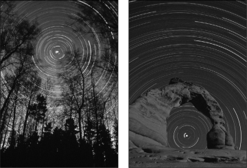 The figure below is a time exposure of the sky,showing the motion of the stars through the night.What is the name for the stars that never rise or set below the horizon?