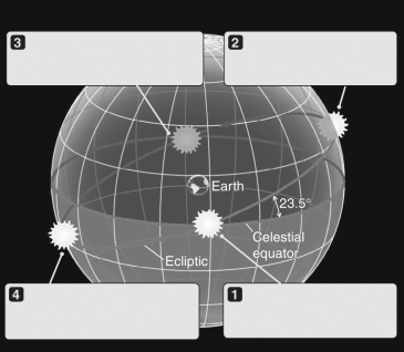 The figure below shows four locations of the sun on the ecliptic.Label each appropriately with the labels: autumnal equinox,vernal equinox,summer solstice,and winter solstice.
